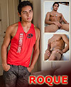 hombres desnudos | roque | latinboyz.com