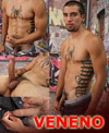 naked latinos | veneno | latinboyz